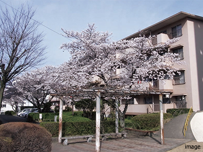 藤崎公団住宅｜ザ・パークハウス百道